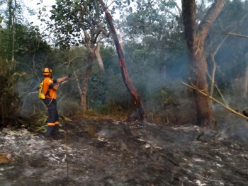 Itaquá registra aumento no número de queimadas neste ano 