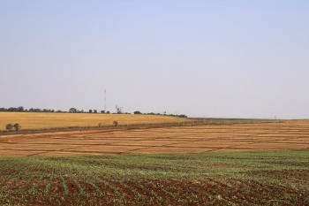 SP promove mutirão para acelerar regularização do Cadastro Ambiental Rural 