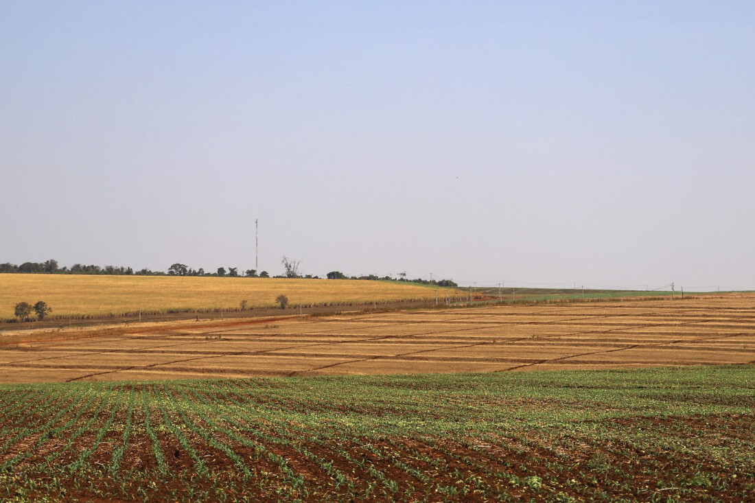 SP promove mutirão para acelerar regularização do Cadastro Ambiental Rural 