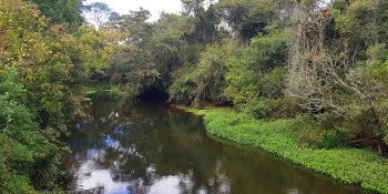 Mogi celebra o Dia do Rio Tietê com ações nos parques da cidade