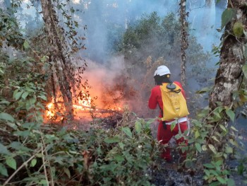 Primavera começa com alerta da Defesa Civil de SP para risco de incêndio