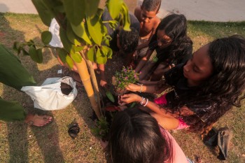 Jundiapeba recebe mutirão de plantio dentro do Programa Viva Seu Bairro