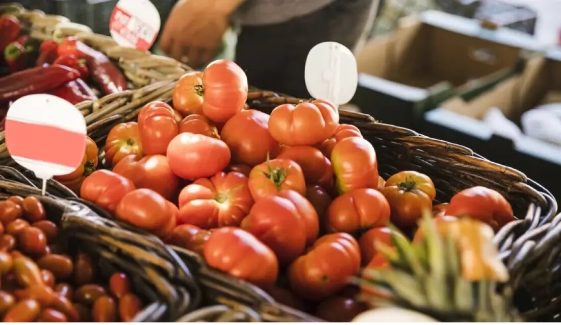 Sebrae-SP terá programação gratuita para celebrar o Dia Mundial da Alimentação