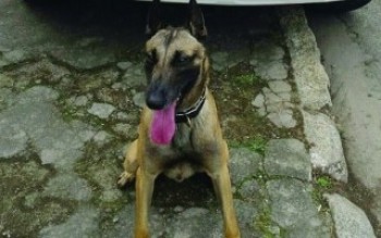 Gaeco e Força Tática apreendem drogas e prendem 6 pessoas em rua do centro