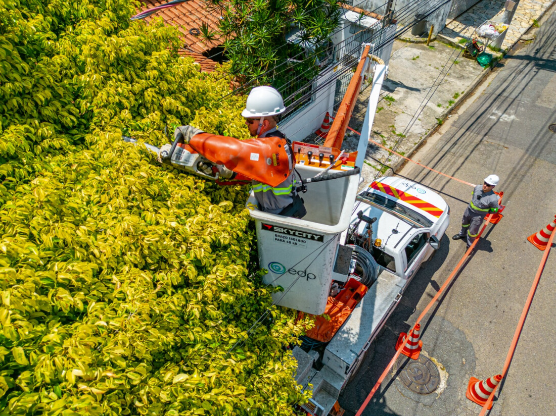 EDP realiza mais de 76 mil podas preventivas de galhos de árvores no Alto Tietê