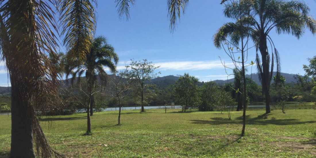 1º Festival de Lámen terá várias atrações no Parque Leon Feffer